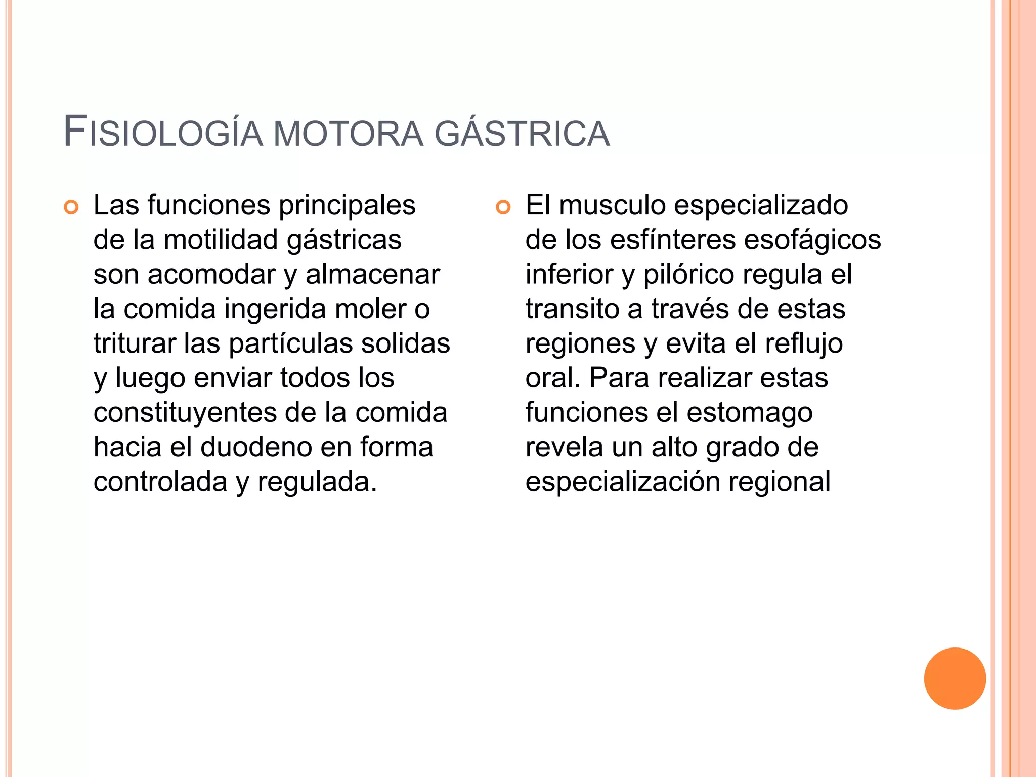 FISIOLOGÍA MOTORA GÁSTRICA
 Las funciones principales
de la motilidad gástricas
son acomodar y almacenar
la comida ingerida moler o
triturar las partículas solidas
y luego enviar todos los
constituyentes de la comida
hacia el duodeno en forma
controlada y regulada.
 El musculo especializado
de los esfínteres esofágicos
inferior y pilórico regula el
transito a través de estas
regiones y evita el reflujo
oral. Para realizar estas
funciones el estomago
revela un alto grado de
especialización regional
 