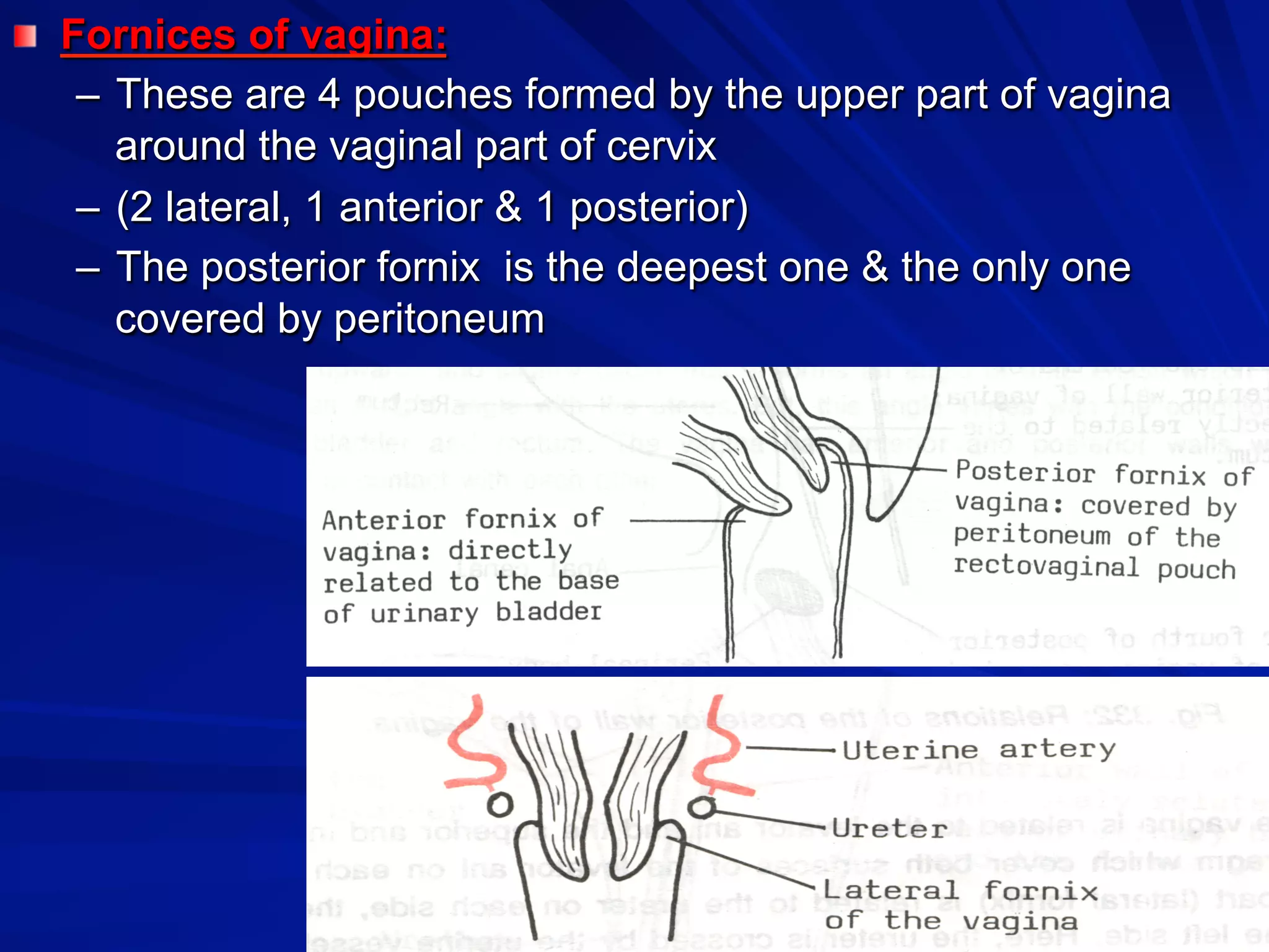 Dr.gamal presentation | PDF