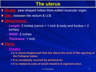Organ Dimensions Dr.gamal presentation | PDF