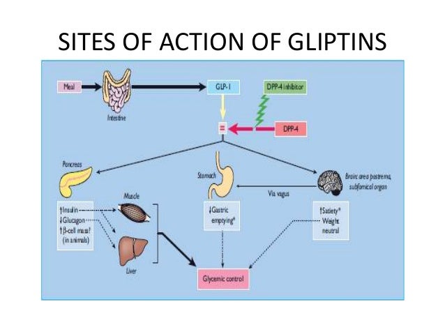 insulin mechanism of action
