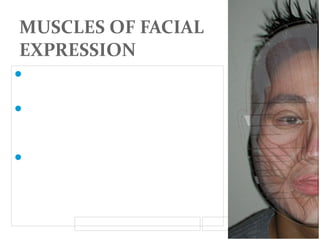 MUSCLES OF FACIAL
EXPRESSION
The muscles of facial expression arise

from the second branchial arch,
are innervated by the seventh cranial

nerve (i.e. the facial nerve, cranial
nerve VII),
Fluidity of facial movements is

orchestrated by their interaction with
the SMAS
11/15/13

 