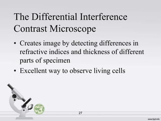 The Differential Interference
Contrast Microscope
• Creates image by detecting differences in
refractive indices and thickness of different
parts of specimen
• Excellent way to observe living cells

27

 