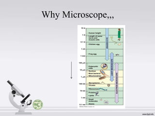 Why Microscope,,,

 