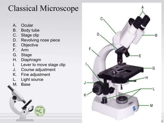 Classical Microscope
A.
B.
C.
D.
E.
F.
G.
H.
I.
J.
K.
L.
M.

Ocular
Body tube
Stage clip
Revolving nose piece
Objective
Arm
Stage
Diaphragm
Lever to move stage clip
Course adjustment
Fine adjustment
Light source
Base

 