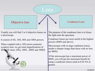 Lens
Objective lens

Condenser Lens

Usually you will find 3 or 4 objective lenses on
a microscope

The purpose of the condenser lens is to focus
the light onto the specimen

It consist of 4X, 10X, 40X and 100X powers.

Condenser lenses are most useful at the highest
powers (400X and above).

When coupled with a 10X (most common)
eyepiece lens, we get total magnifications of
40X (4X times 10X), 100X , 400X and 1000X

Microscopes with in stage condenser lenses
render a sharper image than those with no lens
(at 400X)
If the microscope has a maximum power of
400X, you will get the maximum benefit by
using a condenser lenses rated at 0.65 NA or
greater

 