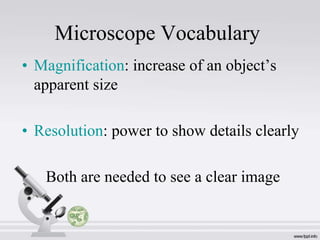 Microscope Vocabulary
• Magnification: increase of an object’s
apparent size
• Resolution: power to show details clearly
Both are needed to see a clear image

 