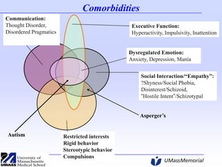 Comorbidities
Communication:
Thought Disorder,
Disordered Pragmatics

Executive Function:
Hyperactivity, Impulsivity, Inattention

Dysregulated Emotion:
Anxiety, Depression, Mania
Social Interaction/“Empathy”:
?Shyness/Social Phobia,
Disinterest/Schizoid,
“Hostile Intent”/Schizotypal

Asperger’s

Autism

Restricted interests
Rigid behavior
Stereotypic behavior
Compulsions

 