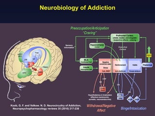 Neurobiology of Addiction

Koob, G. F. and Volkow. N. D. Neurocircuitry of Addiction,
Neuropsychopharmacology reviews 35 (2010) 217-238

 