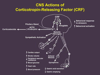 CNS Actions of
Corticotropin-Releasing Factor (CRF)

 