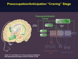 Preoccupation/Anticipation “Craving” Stage

Koob, G. F. and Volkow. N. D. Neurocircuitry of Addiction,
Neuropsychopharmacology reviews 35 (2010) 217-238

 