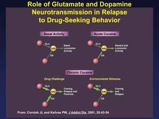 Role of Glutamate and Dopamine
Neurotransmission in Relapse
to Drug-Seeking Behavior

From: Cornish JL and Kalivas PW, J Addict Dis, 2001, 20:43-54.

 
