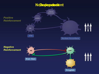 Non-dependent
Dependent
Positive
Reinforcement

Negative
Reinforcement

 