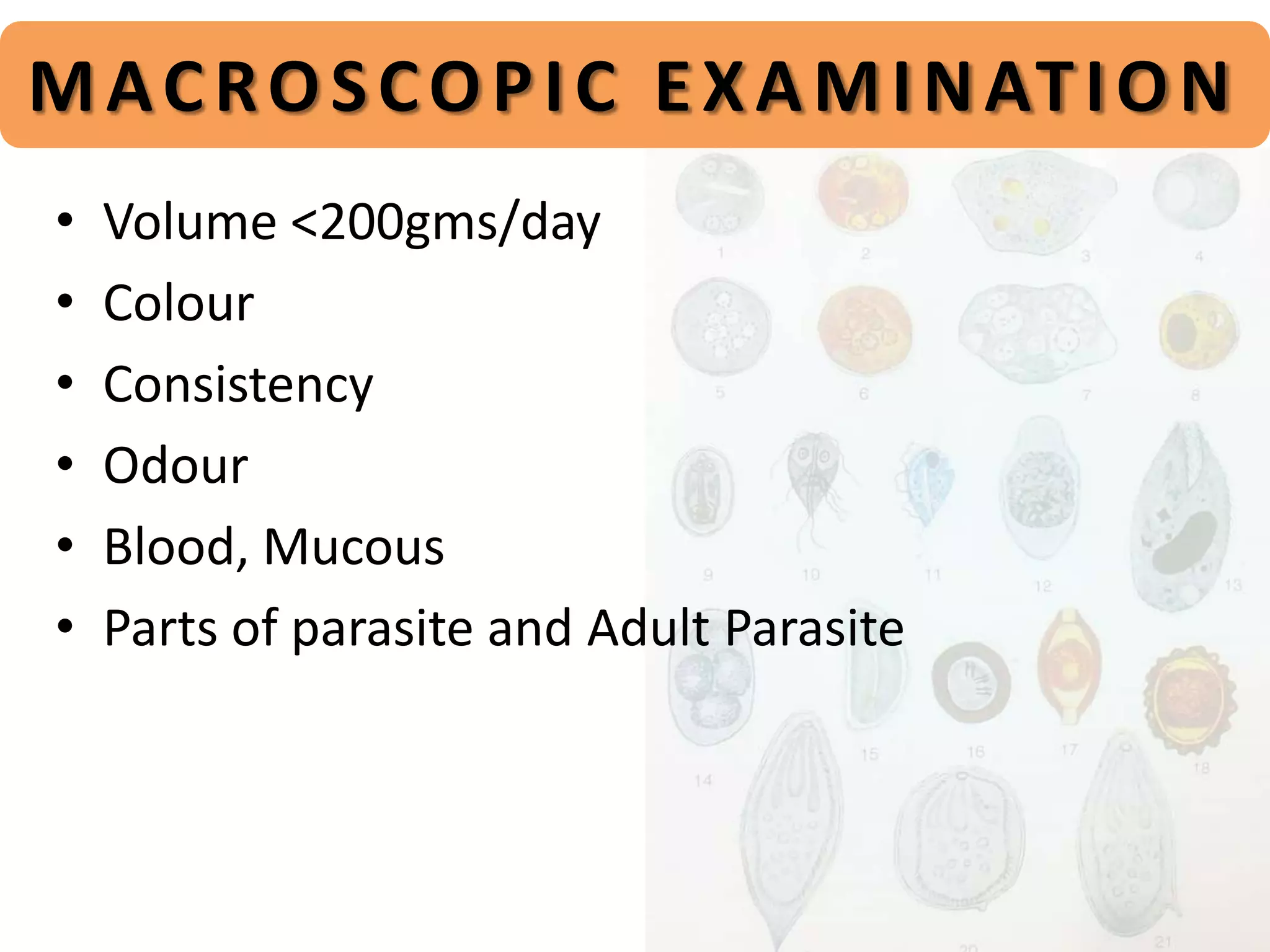 STOOL EXAMINATION PPT