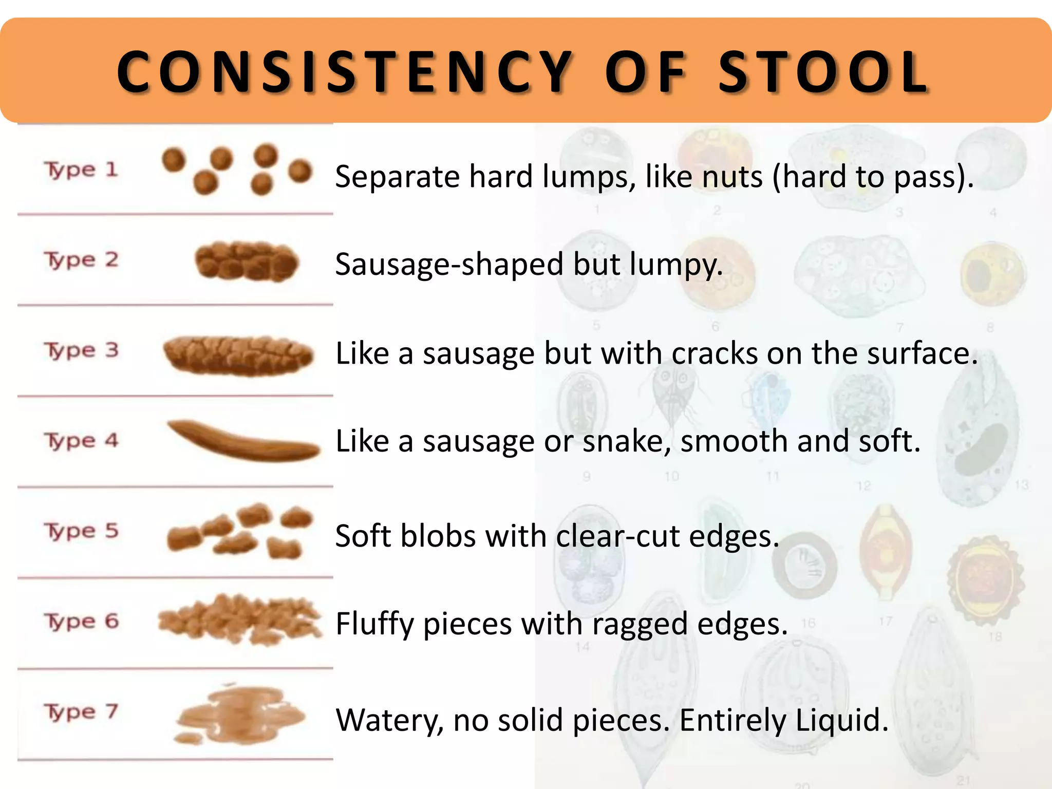 STOOL EXAMINATION PPT