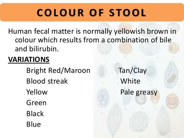 Normal Stool Test Results Chart