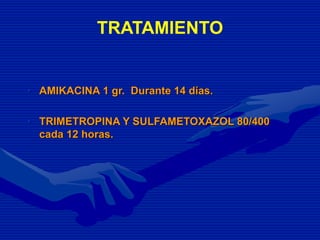 TRATAMIENTO
• AMIKACINA 1 gr. Durante 14 días.
• TRIMETROPINA Y SULFAMETOXAZOL 80/400
cada 12 horas.
 