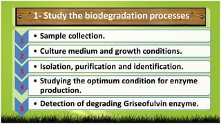 1  
• Sample collection.
2  
• Culture medium and growth conditions.
3  
• Isolation, purification and identification.
4  
• Studying the optimum condition for enzyme
production.
5  
• Detection of degrading Griseofulvin enzyme.
1- Study the biodegradation processes
 
