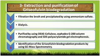 1  
• Filtration the broth and precipitatedby using ammonium sulfate.
2  
• Dialysis.
3  
• Purifiedby using DEAE-Cellulose, sephadex G-200 column
chromatography and SDS-polyacrylamide gel electrophoresis.
4  
• Identificationof the Griseofulvinbiodegradationproducts by
using GC-Mass Spectrometry.
3- Extraction and purificationof
Griseofulvin biodegradation
 
