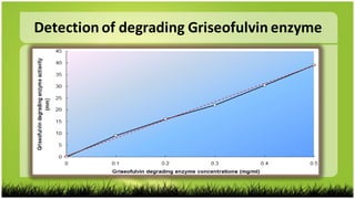 Detection of degrading Griseofulvin enzyme
 