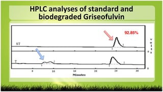 HPLC analyses of standard and
biodegraded Griseofulvin
92.85%
 