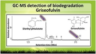 Relativeabundance
Retention time (Min)
GC-MS detection of biodegradation
Griseofulvin
Diethyl phtalatate
CO2C2H5
CO2C2H5
Griseofulvin
 