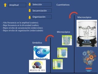 Selección
Secuenciación
Organización
- Alta frecuencia en la amplitud (cuántos).
- Baja frecuencia en la diversidad (cuáles).
- Bajos niveles de secuenciación (orden/cómo).
- Bajos niveles de organización (orden/cuándo)
Amplitud Cuantitativos
Macroscópico
Microscópico
Simbólico
 