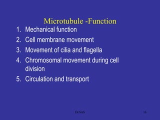Microtubule -Function
1. Mechanical function
2. Cell membrane movement
3. Movement of cilia and flagella
4. Chromosomal movement during cell
division
5. Circulation and transport
16Dr.SAS
 