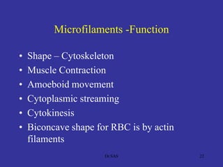 Microfilaments -Function
• Shape – Cytoskeleton
• Muscle Contraction
• Amoeboid movement
• Cytoplasmic streaming
• Cytokinesis
• Biconcave shape for RBC is by actin
filaments
22Dr.SAS
 