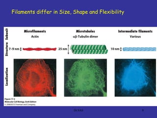 8
Filaments differ in Size, Shape and Flexibility
Dr.SAS
 