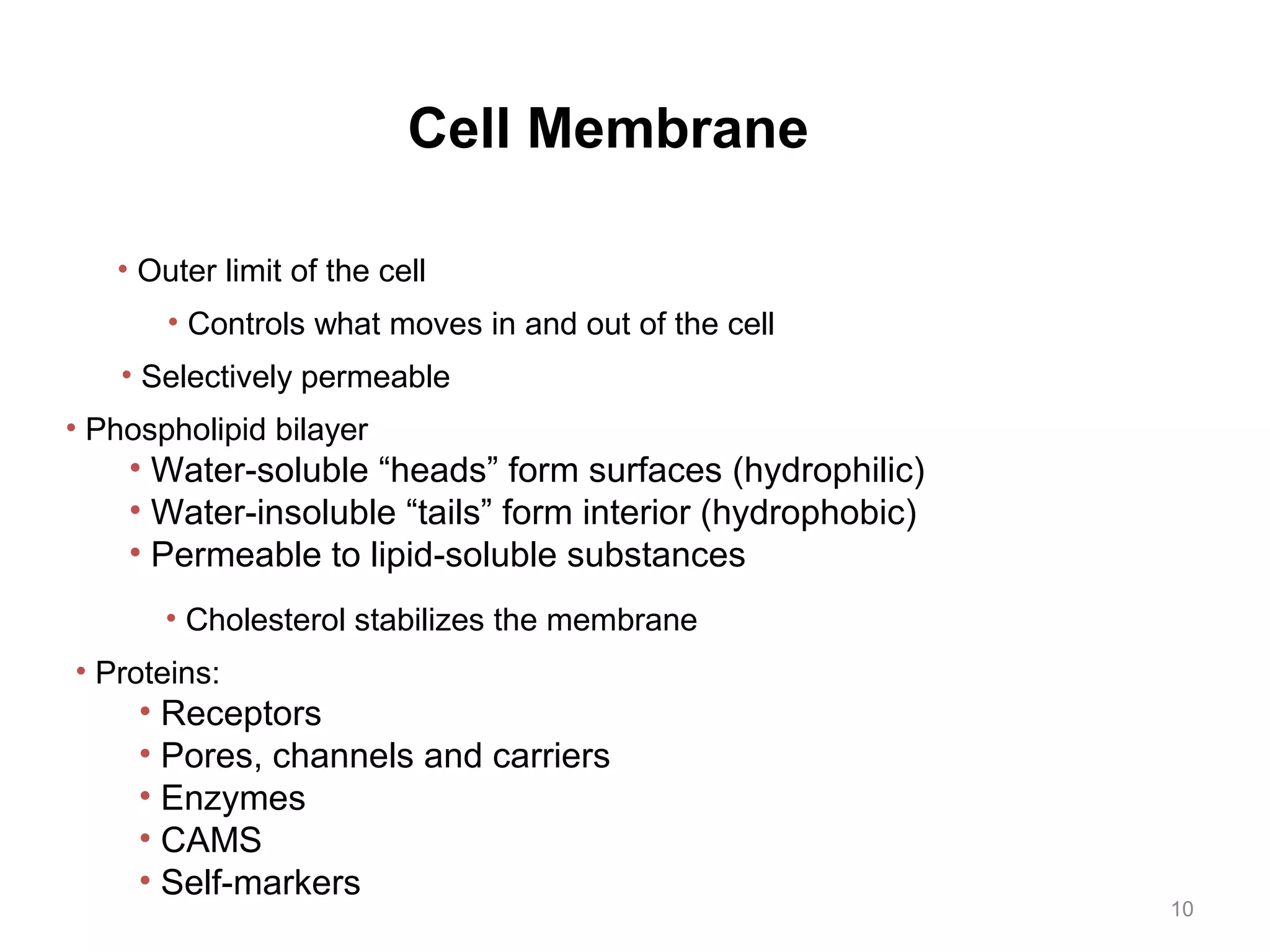 CELL ANATOMY | PPT