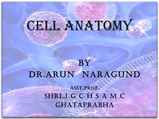 Cell AnAtomy 
by 
Dr.Arun nArAgunD 
Asst.prof. 
shri.j g c h s A m c 
ghAtAprAbhA 
 