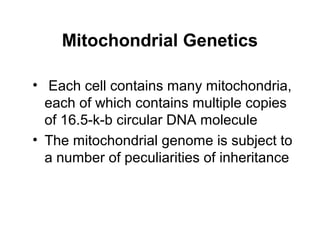 Mitochondrial Genetics 
• Each cell contains many mitochondria, 
each of which contains multiple copies 
of 16.5-k-b circular DNA molecule 
• The mitochondrial genome is subject to 
a number of peculiarities of inheritance 
 