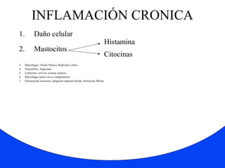 INFLAMACIÓN CRONICA 
1. Daño celular 
2. Mastocitos 
Histamina 
Citocinas 
3. Macrófagos Oxido Nítrico, Radicales Libres 
4. Neutrófilos: Fagocitan 
5. Linfocitos: activan sistema inmune, 
6. Macrófagos junto con el complemento 
7. Eliminación invasores, plaquetas taponan herida, formación fibrina 
 