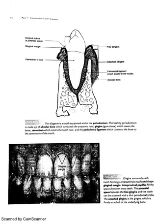 Scanned by CamScanner 
