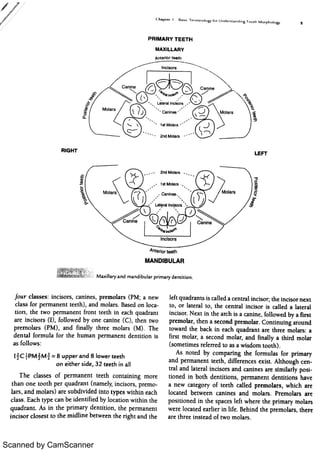 Scanned by CamScanner 
 