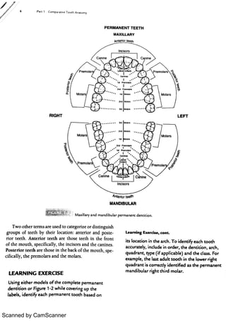 Scanned by CamScanner 
 
