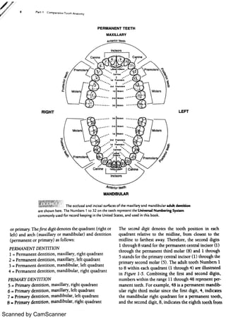 Scanned by CamScanner 
 