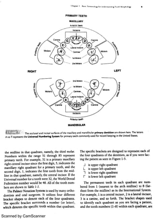 Scanned by CamScanner 
 