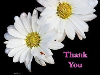 Department of Psychiatry, MCH, 
10/05/14 TVM 53 
