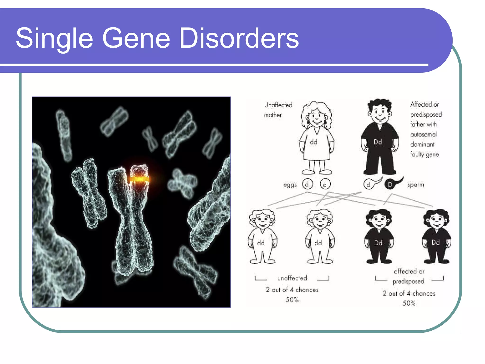 Single Gene Disorders