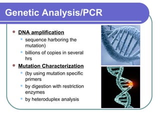 Genetic Analysis/PCR 
 DNA amplification 
 sequence harboring the 
mutation) 
 billions of copies in several 
hrs 
 Mutation Characterization 
 (by using mutation specific 
primers 
 by digestion with restriction 
enzymes 
 by heteroduplex analysis 
 