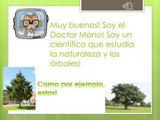 Muy buenas! Soy el 
Doctor Mono! Soy un 
científico que estudia 
la naturaleza y los 
árboles! 
 