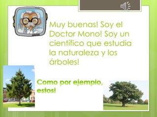 Muy buenas! Soy el
Doctor Mono! Soy un
científico que estudia
la naturaleza y los
árboles!
 