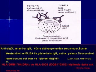 Anti-aIgG1 ve anti-a IgG3 Hücre aktivasyonundan sorumludur.Bunlar 
Westernblot ve ELISA ile gösterilmiş. IgG2 anti-a yalancı ?immunoblot 
reaksiyonuna yol açar ve işlevsel değildir. (J.Clin.Invest .1998;101:243- 
51 ). 
HLA-DRB1*04(DR4) ve HLA-DQ8 (DQB1*0302) kişilerde daha sık. 
(Clin.Exp.Allergy 
1998;28:339-48) 
 