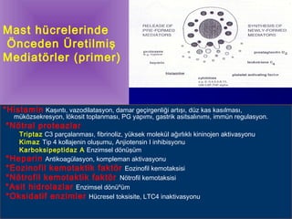 Mast hücrelerinde 
Önceden Üretilmiş 
Mediatörler (primer) 
*Histamin Kaşıntı, vazodilatasyon, damar geçirgenliği artışı, düz kas kasılması, 
müközsekresyon, lökosit toplanması, PG yapımı, gastrik asitsalınımı, immün regulasyon. 
*Nötral proteazlar 
Triptaz C3 parçalanması, fibrinoliz, yüksek molekül ağırlıklı kininojen aktivasyonu 
Kimaz Tip 4 kollajenin oluşumu, Anjiotensin I inhibisyonu 
Karboksipeptidaz A Enzimsel dönüşüm 
*Heparin Antikoagülasyon, kompleman aktivasyonu 
*Eozinofil kemotaktik faktör Eozinofil kemotaksisi 
*Nötrofil kemotaktik faktör Nötrofil kemotaksisi 
*Asit hidrolazlar Enzimsel dönüºüm 
*Oksidatif enzimler Hücresel toksisite, LTC4 inaktivasyonu 
 