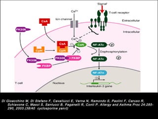 Di Gioacchino M, Di Stefano F, Cavallucci E, Verna N, Ramondo S, Paolini FF, CCaarruussoo RR, 
SScchhiiaavvoonnee CC, MMaassccii SS, SSaannttuuccccii BB, PPaaggaanneellllii RR, CCoonnttii PP.. AAlllleerrggyy aanndd AAsstthhmmaa PPrroocc 2244::228855-- 
229900, 22000033..((3388//4400 ccyycclloossppoorriinnee yyaannııtt)) 
 