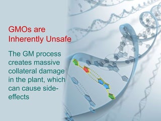 GMOs are
Inherently Unsafe
The GM process
creates massive
collateral damage
in the plant, which
can cause side-effects