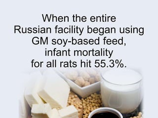 When the entire
Russian facility began using
GM soy-based feed,
infant mortality
for all rats hit 55.3%.