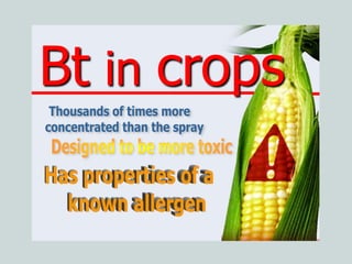 Bt in crops