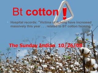 Bt cotton
Hospital records: “Victims of itching have increased
massively this year . . . related to BT cotton farming.”
The Sunday Indian, 10/26/08